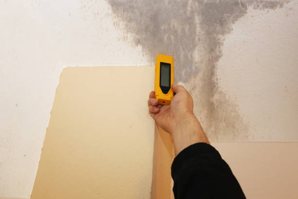 Best Dehumidification Services  in Friend, NE