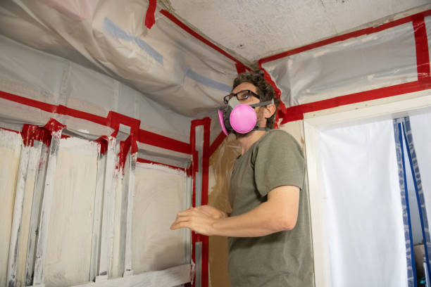 Best Commercial Mold Inspection  in Friend, NE